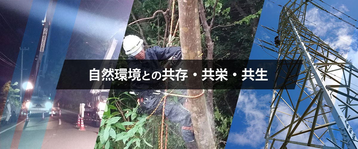 自然環境との共存・共栄・共生