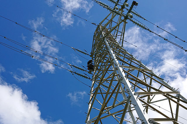 送電線路の巡視路の整備