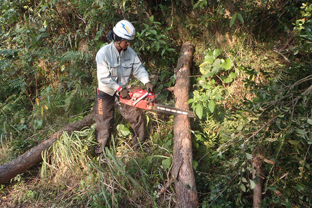 代表者あいさつ